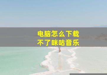 电脑怎么下载不了咪咕音乐