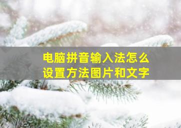 电脑拼音输入法怎么设置方法图片和文字