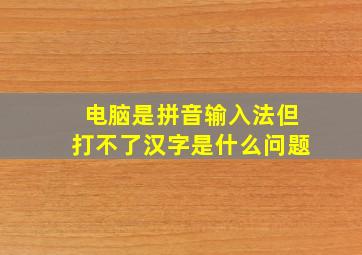 电脑是拼音输入法但打不了汉字是什么问题