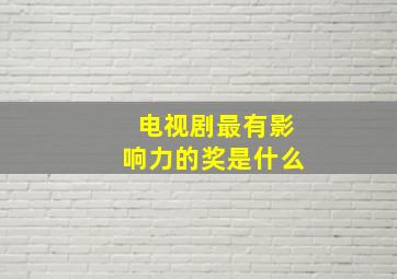 电视剧最有影响力的奖是什么