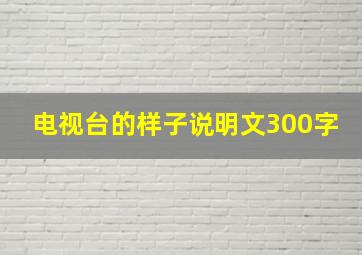 电视台的样子说明文300字