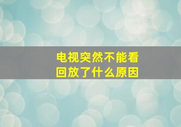 电视突然不能看回放了什么原因