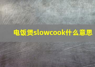 电饭煲slowcook什么意思