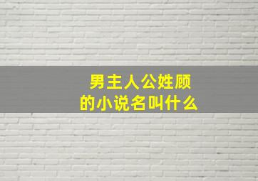 男主人公姓顾的小说名叫什么