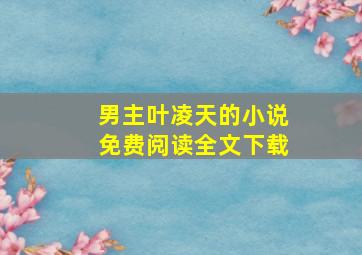 男主叶凌天的小说免费阅读全文下载