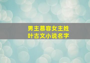 男主慕容女主姓叶古文小说名字