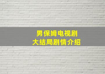 男保姆电视剧大结局剧情介绍