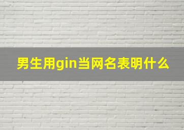 男生用gin当网名表明什么