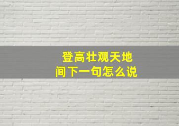 登高壮观天地间下一句怎么说