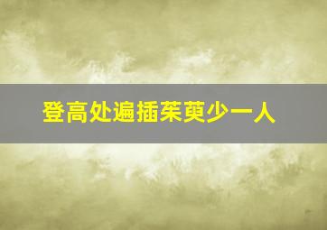 登高处遍插茱萸少一人