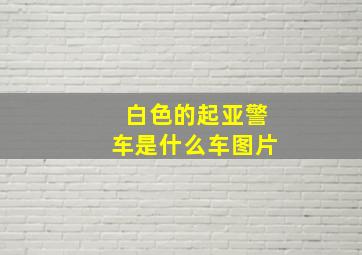 白色的起亚警车是什么车图片