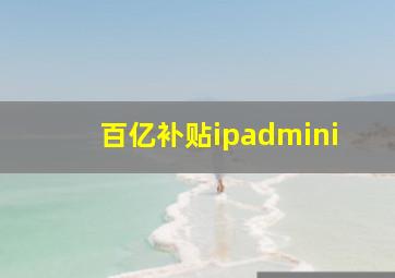 百亿补贴ipadmini