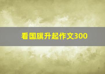 看国旗升起作文300