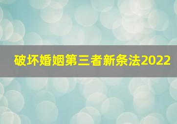 破坏婚姻第三者新条法2022