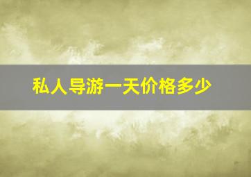 私人导游一天价格多少