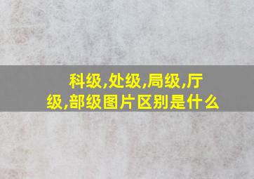 科级,处级,局级,厅级,部级图片区别是什么