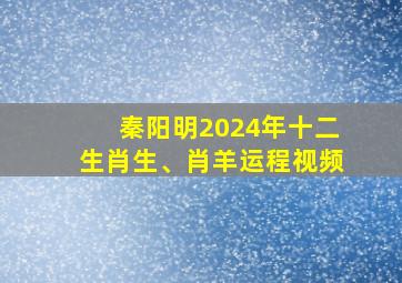 秦阳明2024年十二生肖生、肖羊运程视频