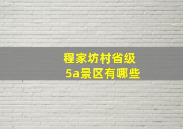 程家坊村省级5a景区有哪些