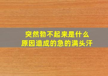 突然勃不起来是什么原因造成的急的满头汗