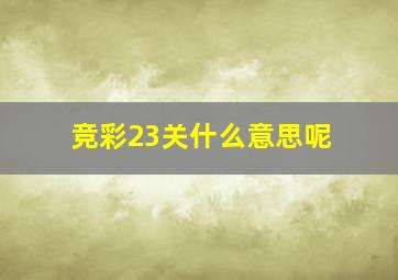 竞彩23关什么意思呢