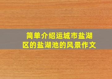 简单介绍运城市盐湖区的盐湖池的风景作文