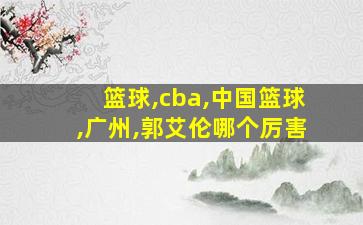 篮球,cba,中国篮球,广州,郭艾伦哪个厉害