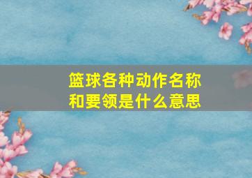 篮球各种动作名称和要领是什么意思