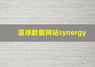 篮球数据网站synergy