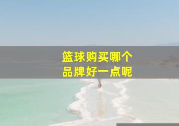 篮球购买哪个品牌好一点呢