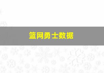 篮网勇士数据