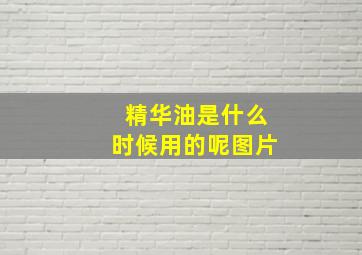 精华油是什么时候用的呢图片