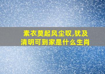 素衣莫起风尘叹,犹及清明可到家是什么生肖