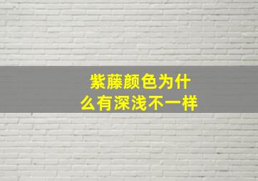 紫藤颜色为什么有深浅不一样