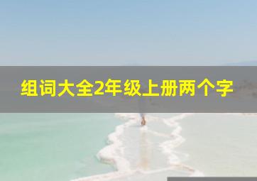 组词大全2年级上册两个字