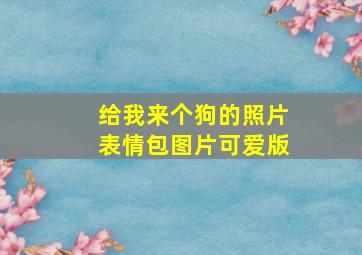 给我来个狗的照片表情包图片可爱版