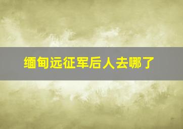 缅甸远征军后人去哪了