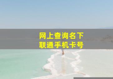 网上查询名下联通手机卡号