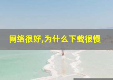 网络很好,为什么下载很慢