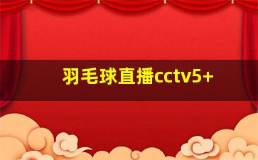 羽毛球直播cctv5+