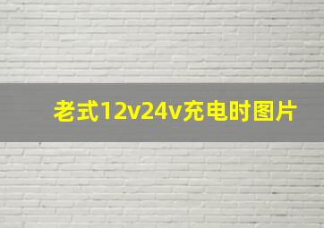 老式12v24v充电时图片