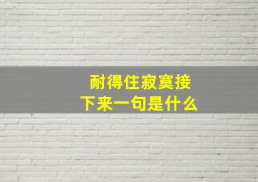 耐得住寂寞接下来一句是什么