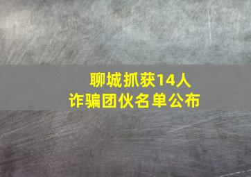 聊城抓获14人诈骗团伙名单公布