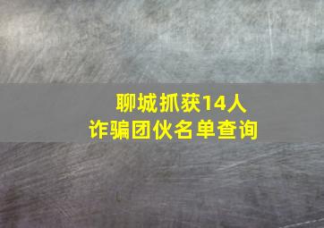 聊城抓获14人诈骗团伙名单查询