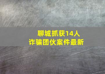 聊城抓获14人诈骗团伙案件最新