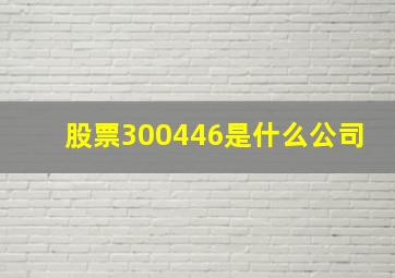 股票300446是什么公司