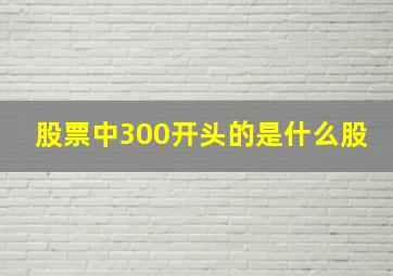 股票中300开头的是什么股