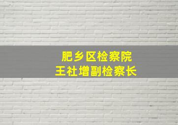 肥乡区检察院王社增副检察长