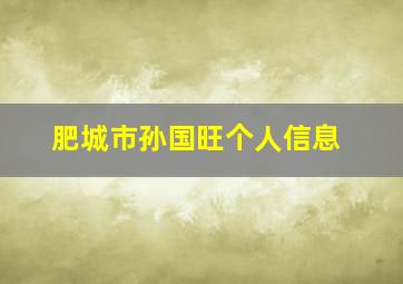 肥城市孙国旺个人信息