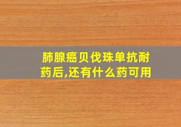 肺腺癌贝伐珠单抗耐药后,还有什么药可用