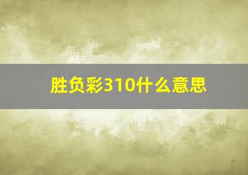 胜负彩310什么意思